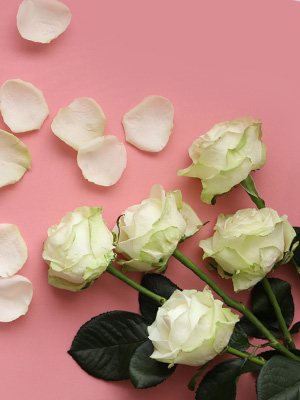 Avalanche rozen