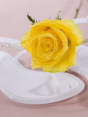 Lente in huis met rozen