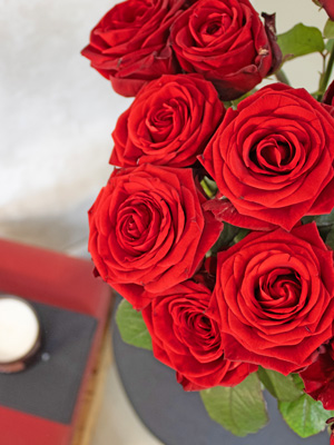 Blog: Red Naomi rozen