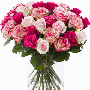 30 roze rozen mix