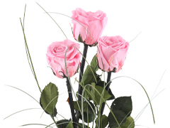 Long life rozen met steel