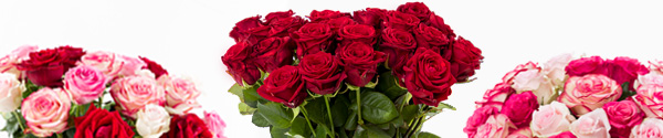 Liefdevol rozenboeket Rozenboeket voor je liefde