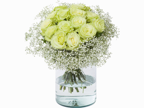 Groene rozen bestellen