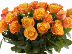 Oranje rozen kopen