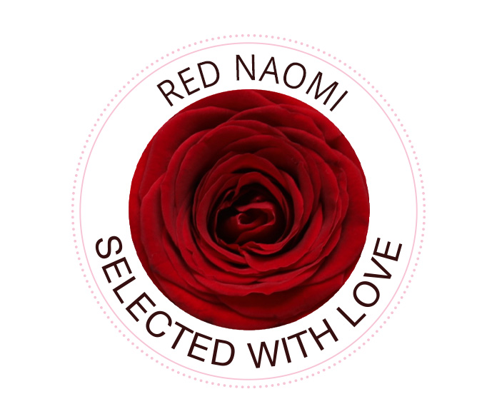 Rozensoort Red Naomi