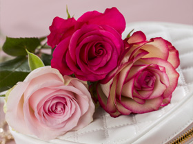 Roze rozen versturen