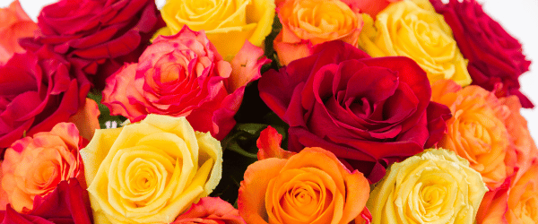 Herfstbloemen Herfstbloemen
