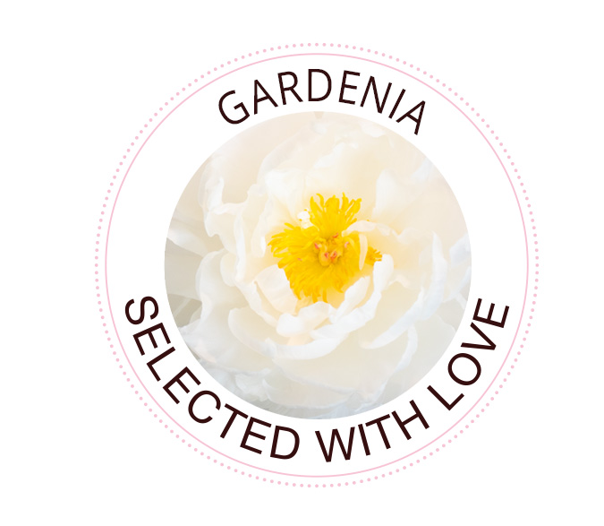 Gardenia pioenroos Gardenia pioenroos
