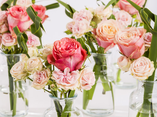 Rozen voor evenementen