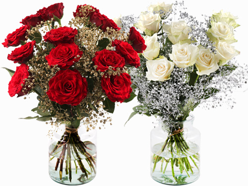 Rozen voor kerst