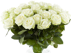 Witte Avalanche rozen
