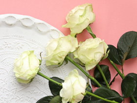 Witte rozen bestellen