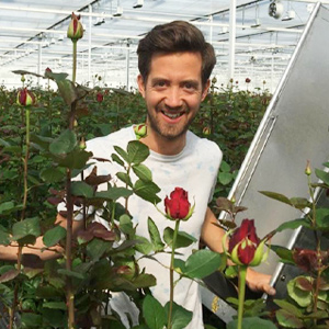 Meewisse Roses