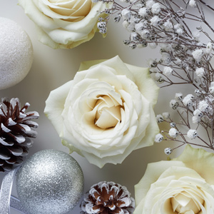 Witte rozen in de winter