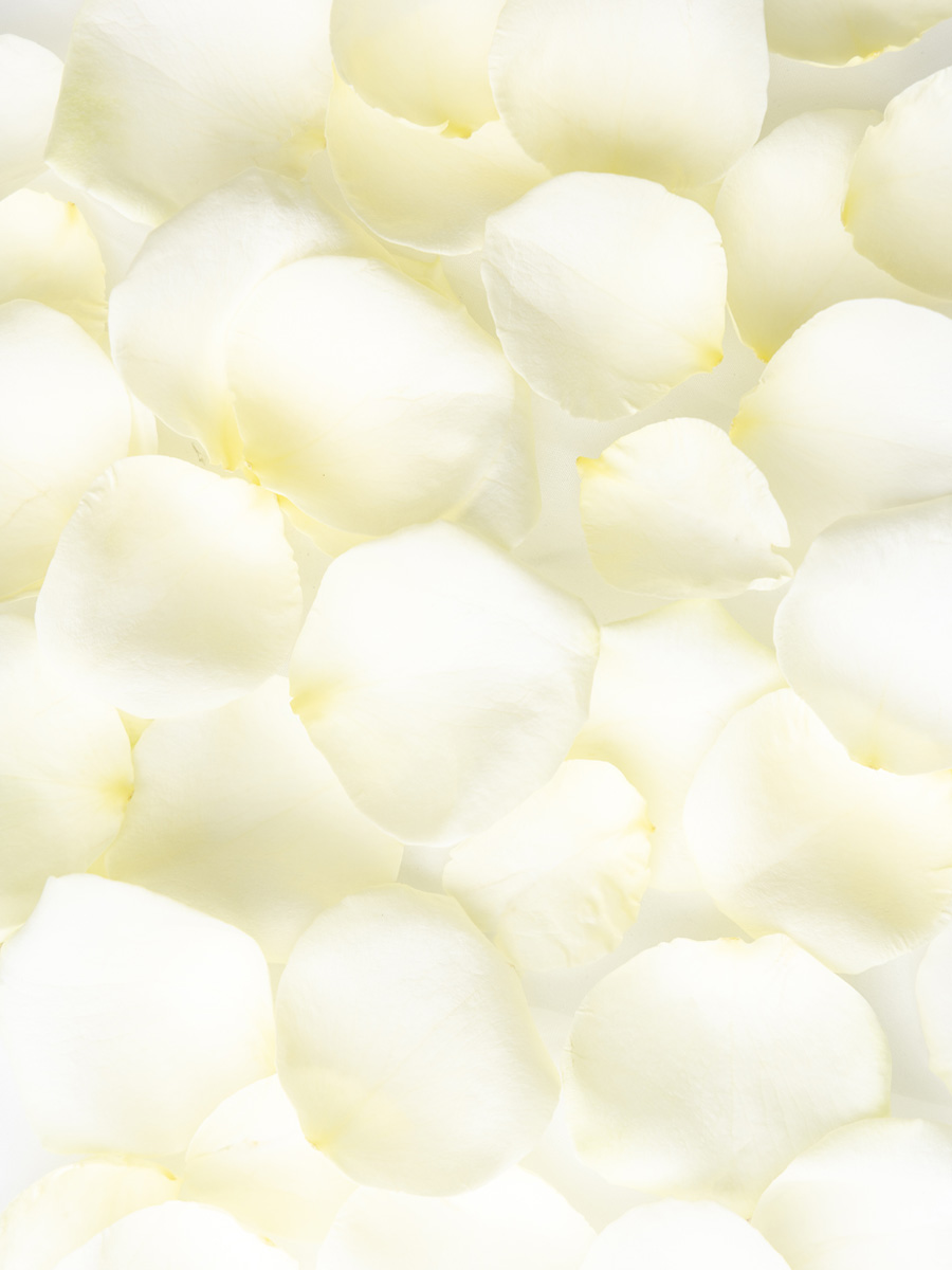 Witte rozenblaadjes bestellen