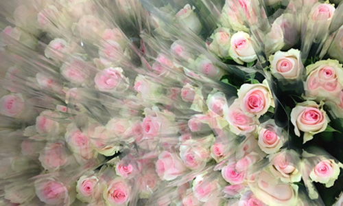 Blog: zakelijk bloemen bestellen