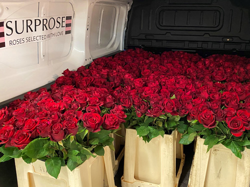 Rozen op rekening bestellen