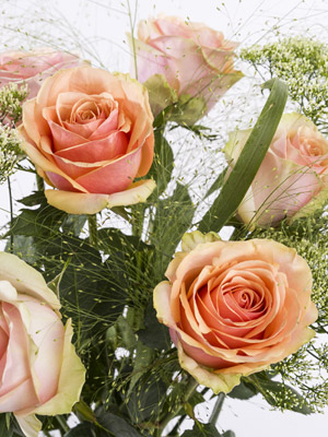 Zalmkleurig rozenboeket Zalmkleurig rozenboeket